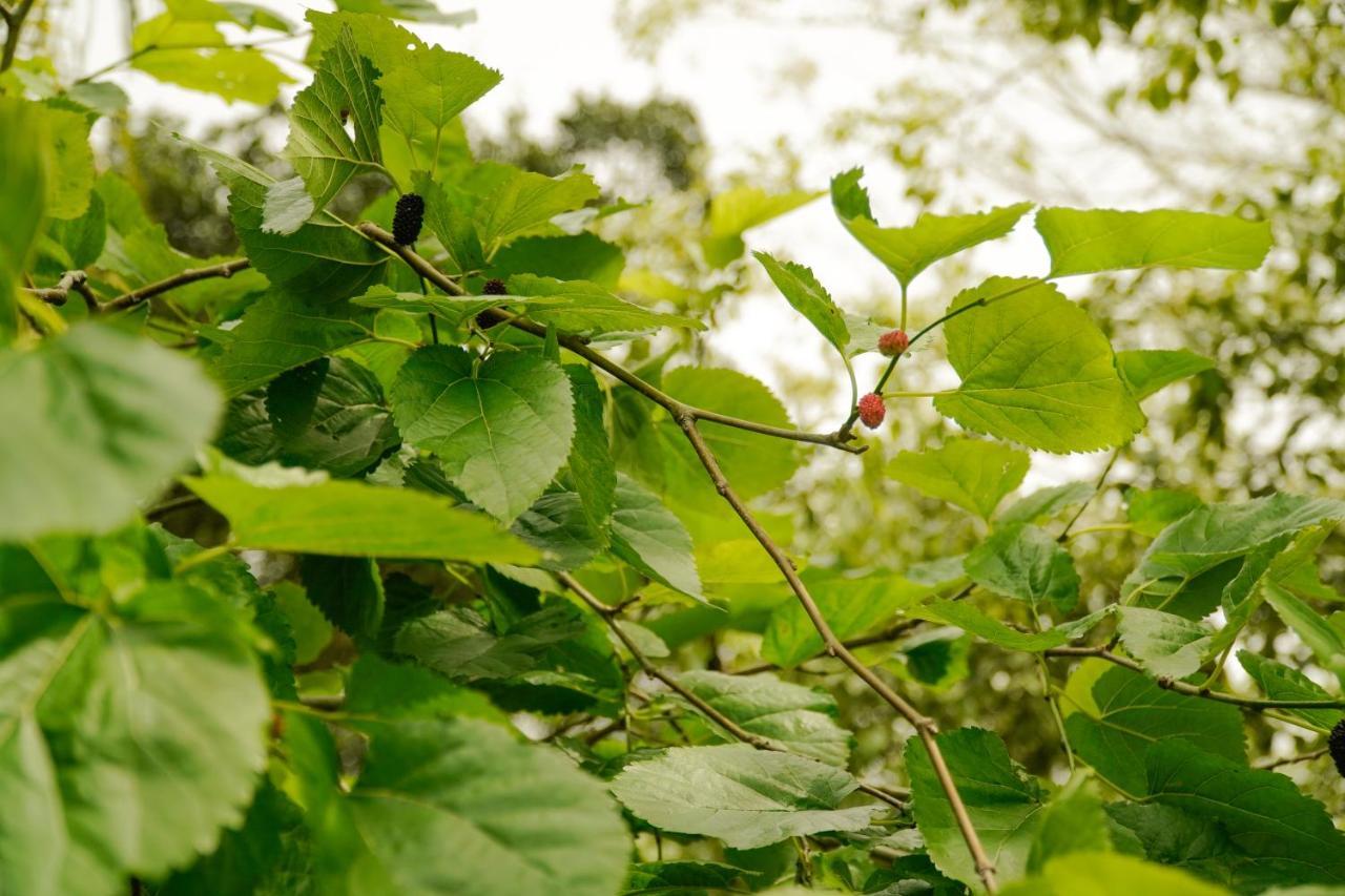 Pousada Dunasol Floripa Florianópolis Kültér fotó