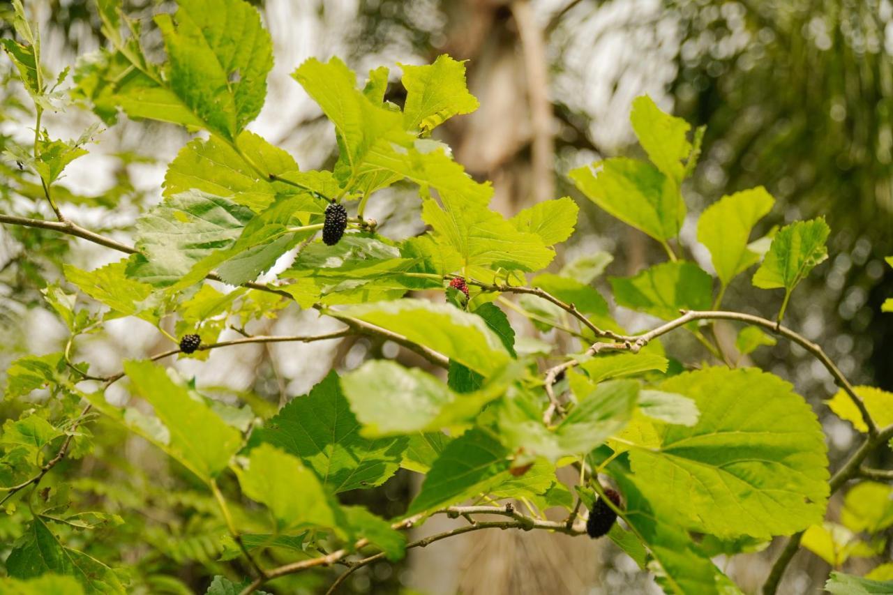 Pousada Dunasol Floripa Florianópolis Kültér fotó