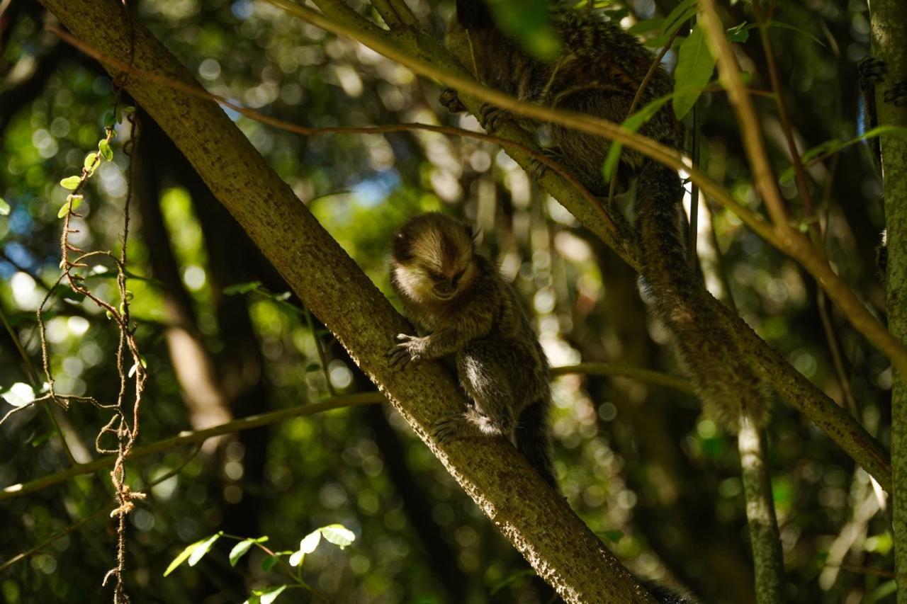 Pousada Dunasol Floripa Florianópolis Kültér fotó