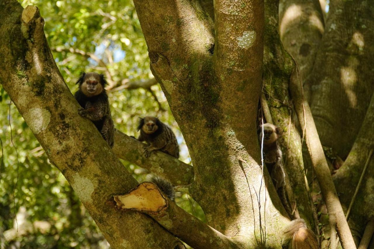 Pousada Dunasol Floripa Florianópolis Kültér fotó